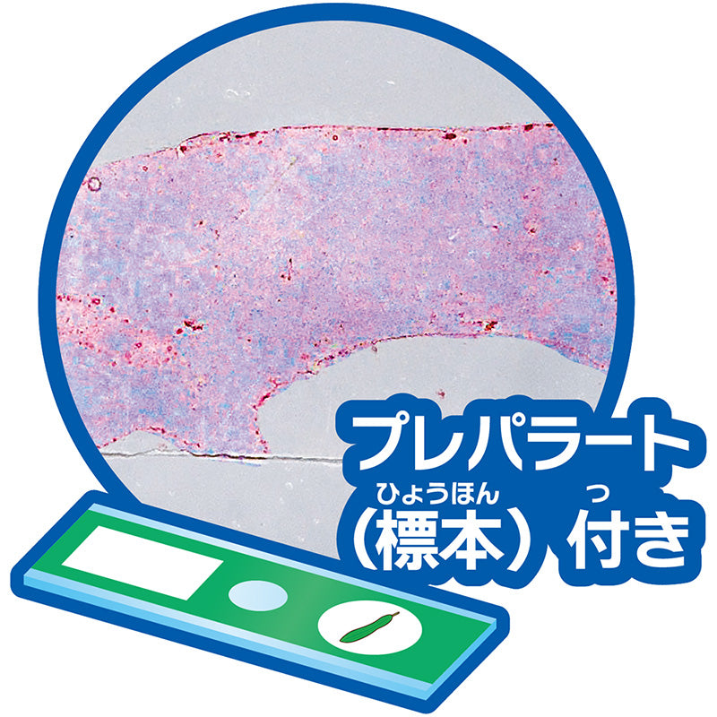【おうちでできる実験キット】ペットボトルスコープ
