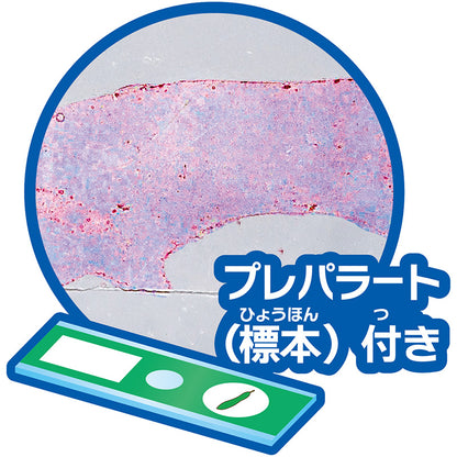 【おうちでできる実験キット】ペットボトルスコープ