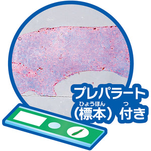 【おうちでできる実験キット】ペットボトルスコープ