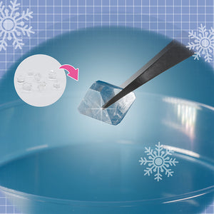 【わくわく科楽のアトリエシリーズ】結晶育成装置