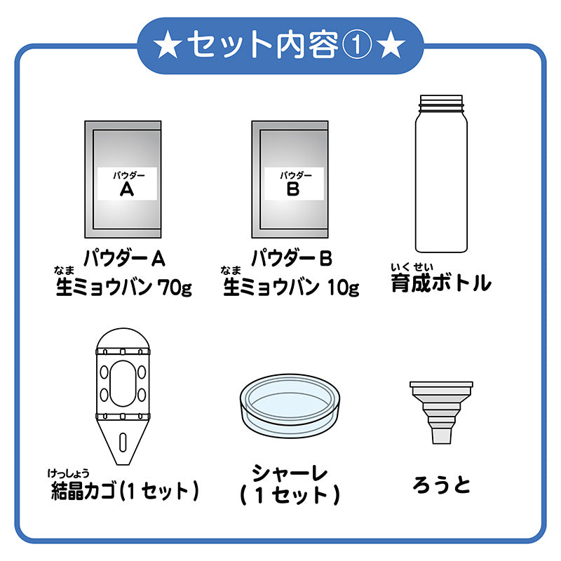 【わくわく科楽のアトリエシリーズ】結晶育成装置