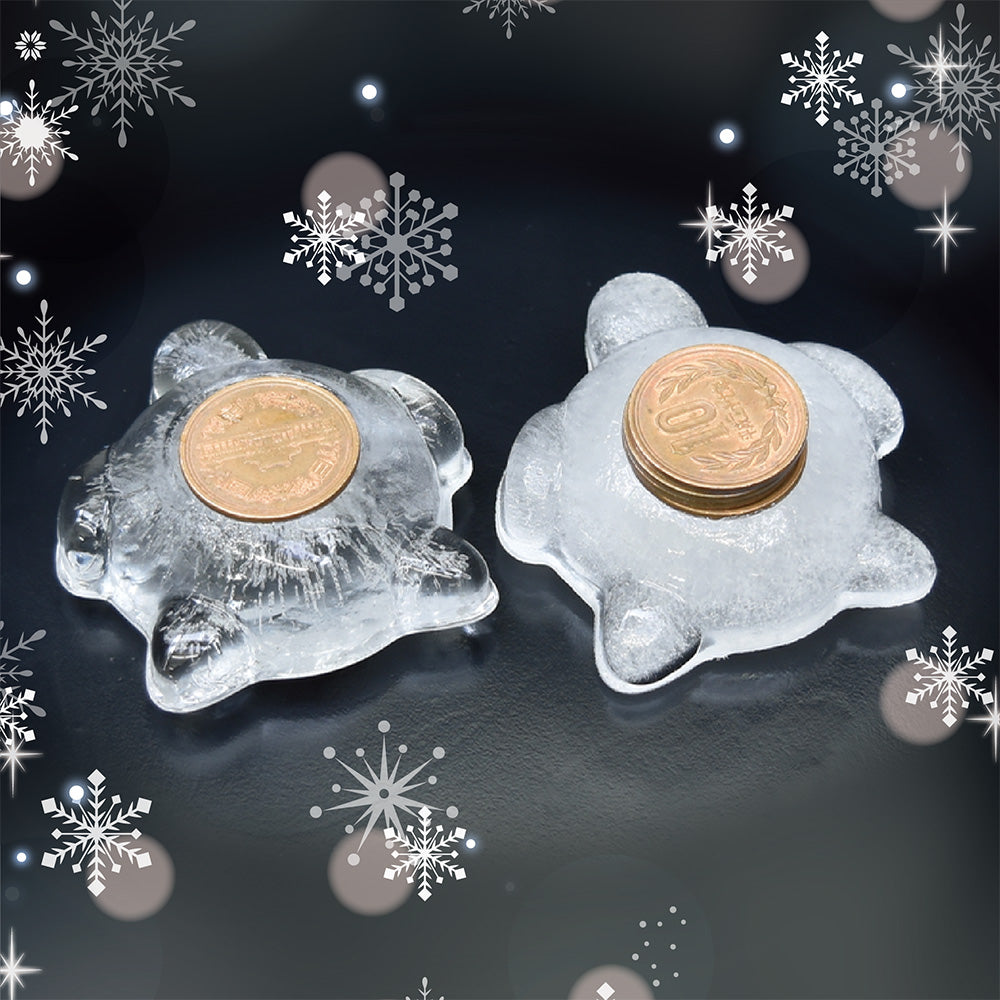 氷の謎を大調査 パッケージ画像